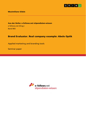 cover image of Brand Evaluator. Real company example